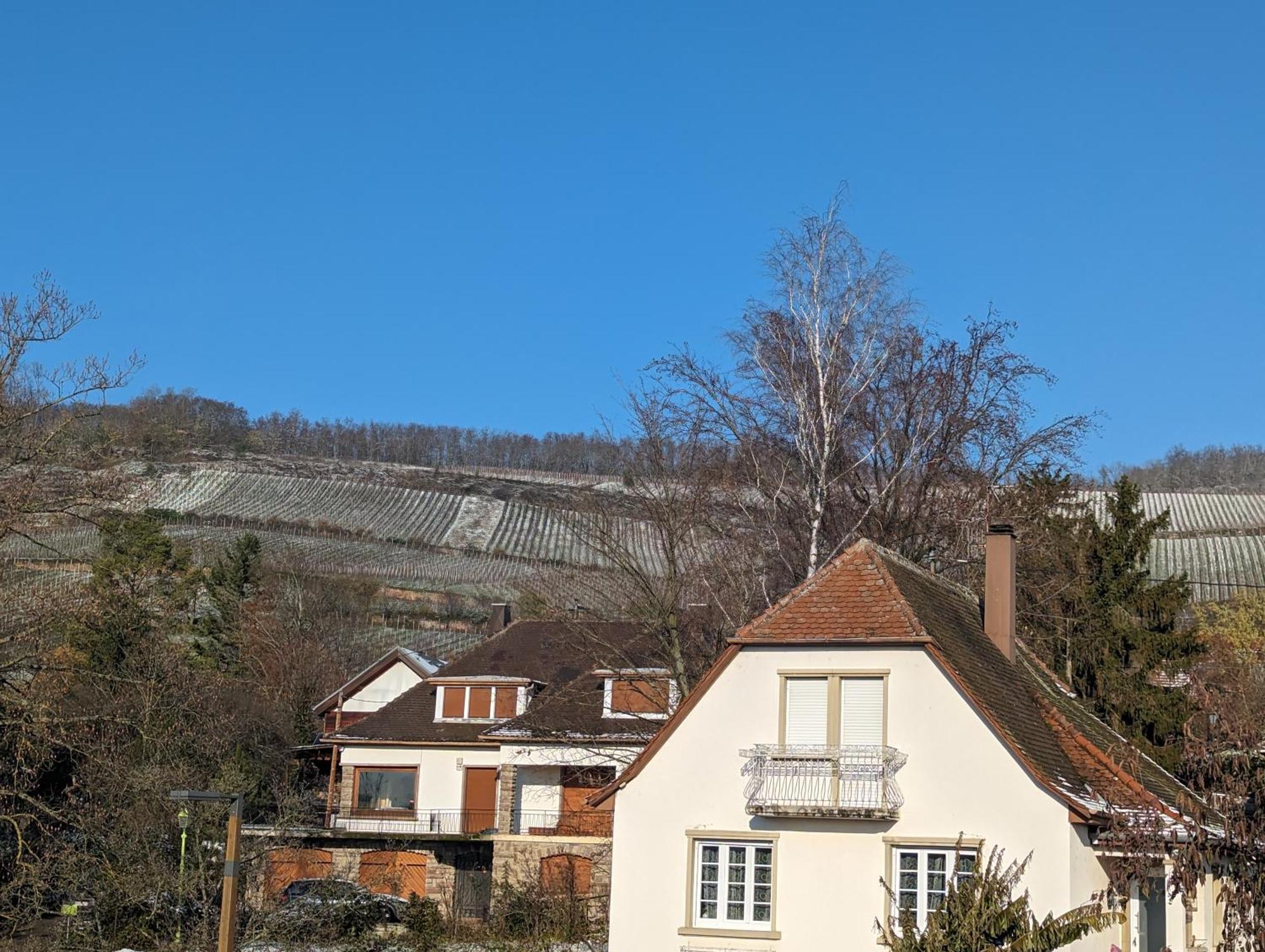 Apartamento Le Cosy Marlenheim Exterior foto